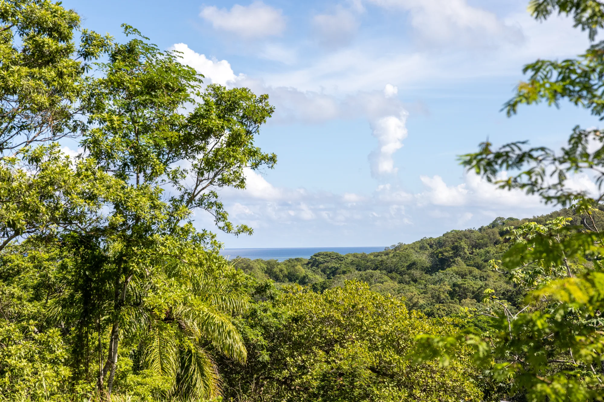 Corozal Reef Heights — 7.5 Acres — exterior photo 10 of 32
