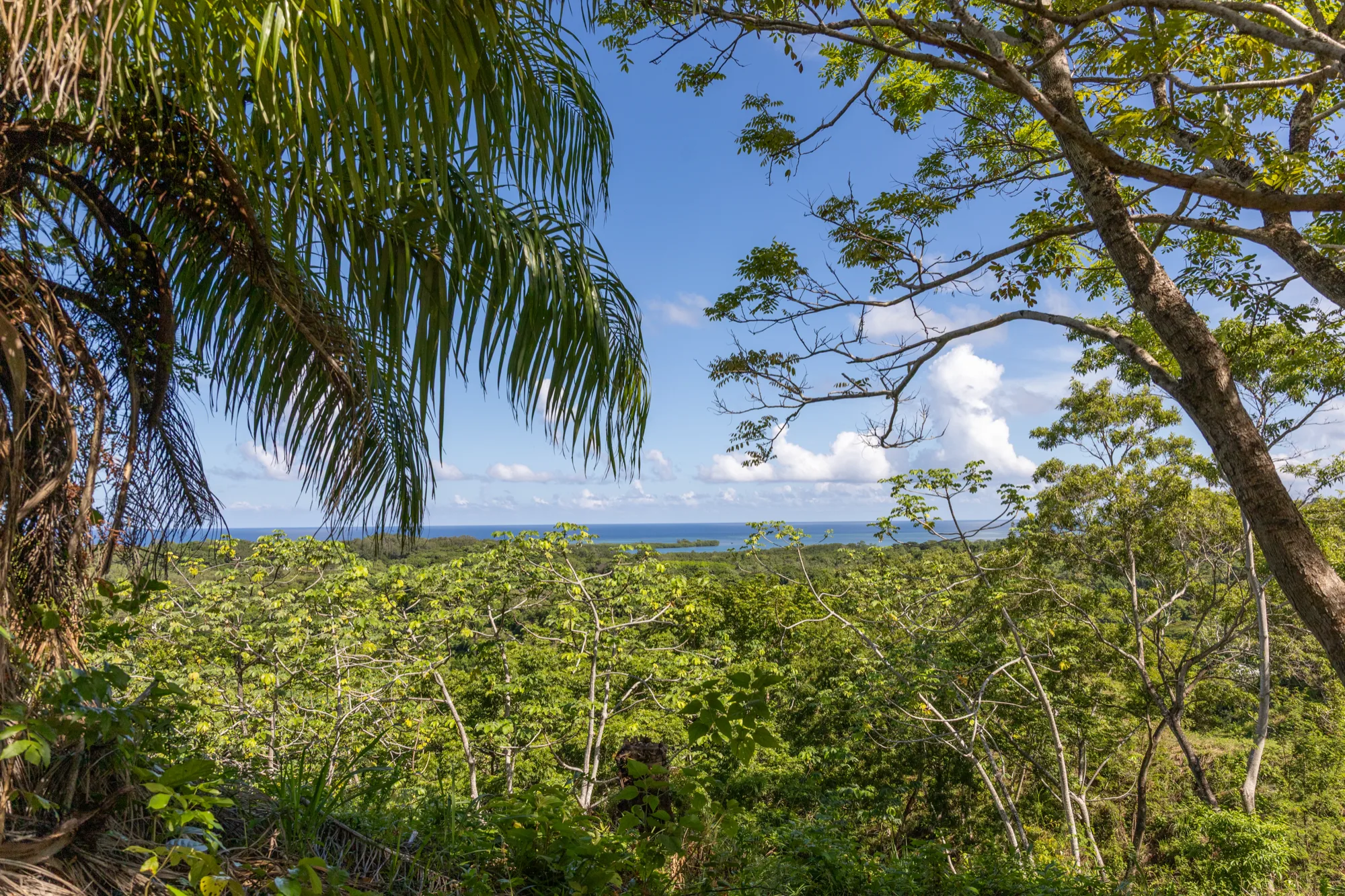 Corozal Reef Heights — 7.5 Acres — exterior photo 12 of 32
