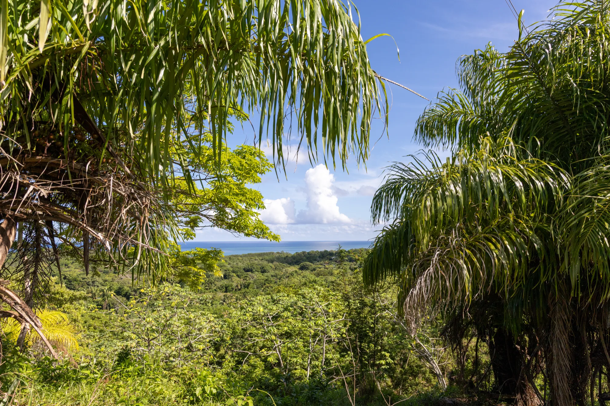 Corozal Reef Heights — 7.5 Acres — exterior photo 13 of 32