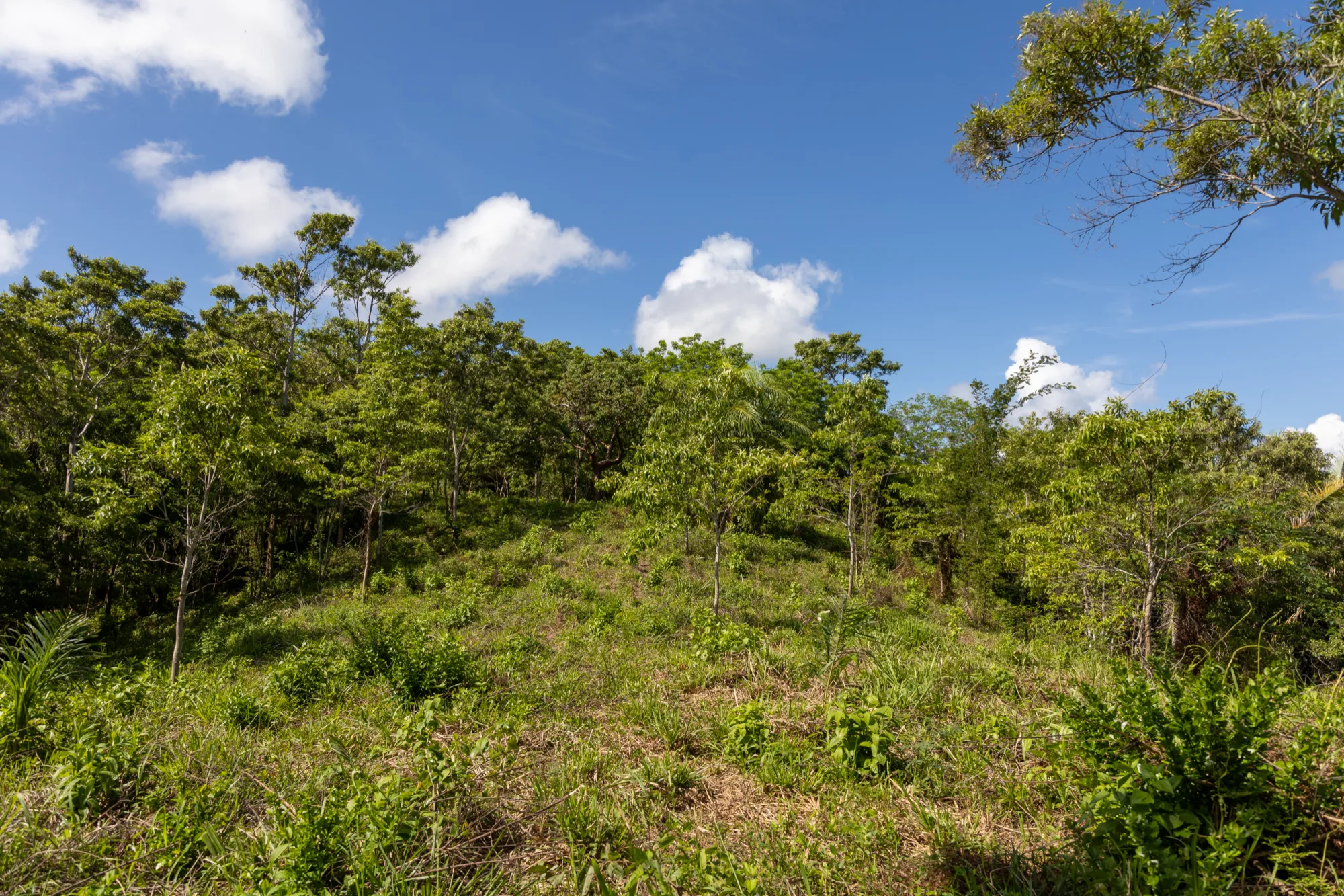Corozal Reef Heights — 7.5 Acres — exterior photo 17 of 32
