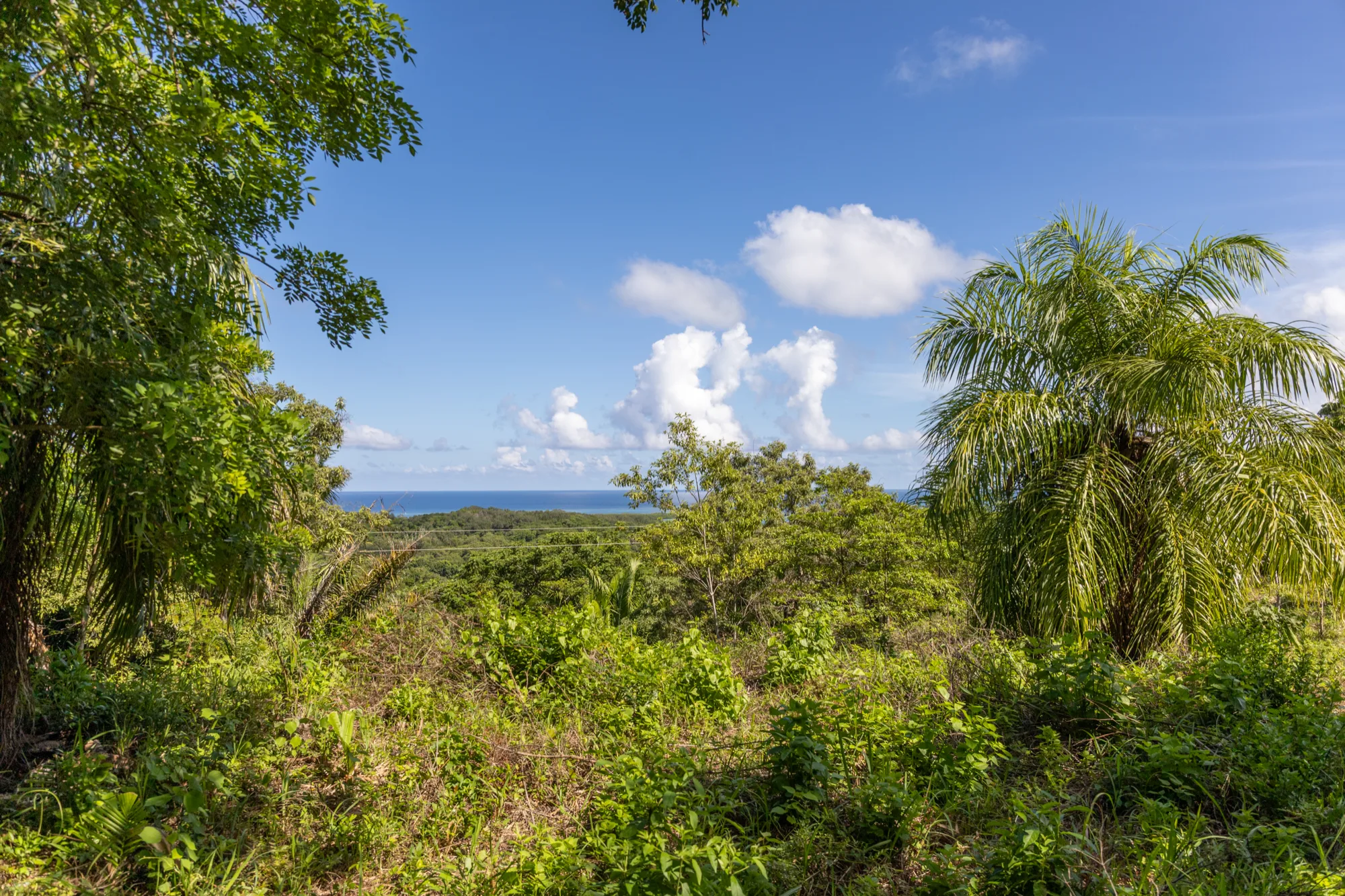 Corozal Reef Heights — 7.5 Acres — exterior photo 21 of 32