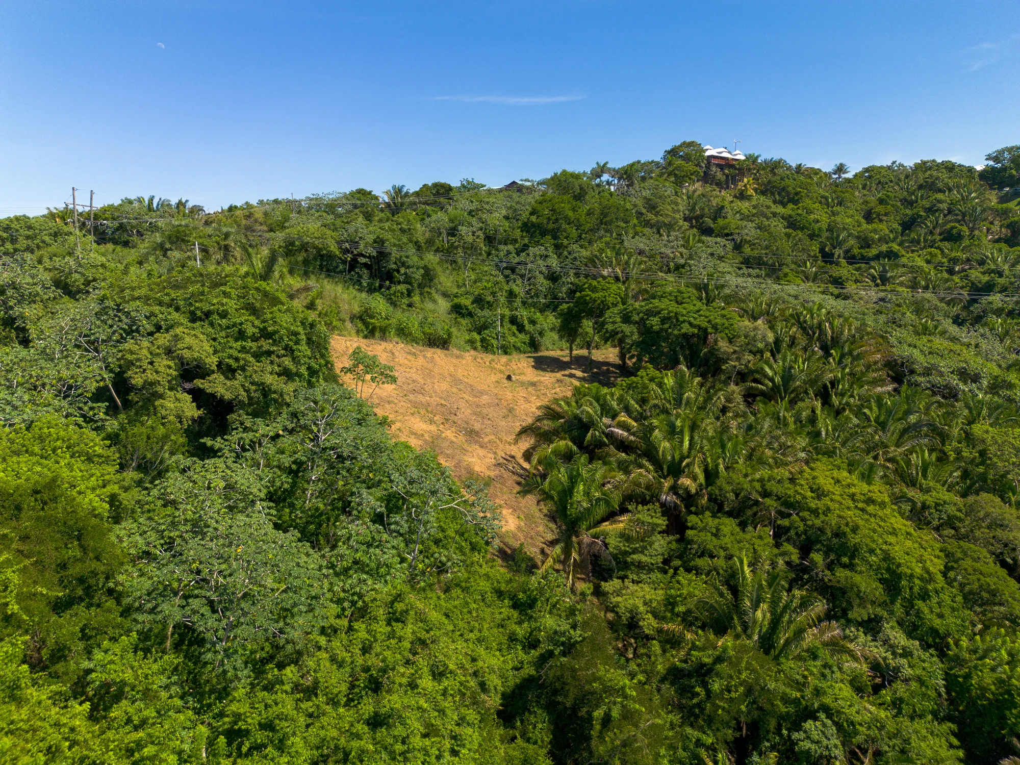 Politilly Bight, Lot #1 — 0.50 Acre — exterior photo 17 of 20