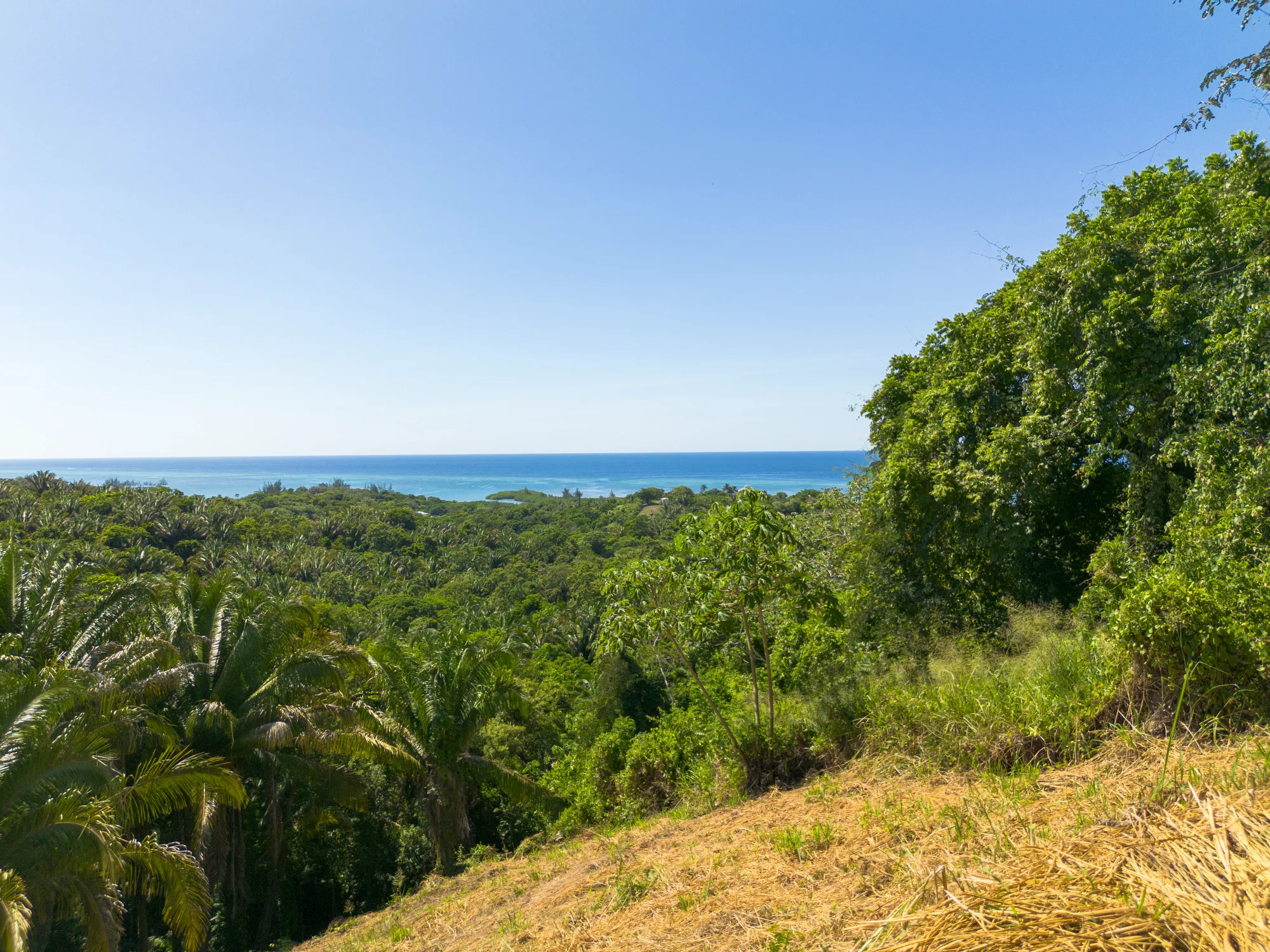 Politilly Bight, Lot #1 — 0.50 Acre — exterior photo 19 of 20
