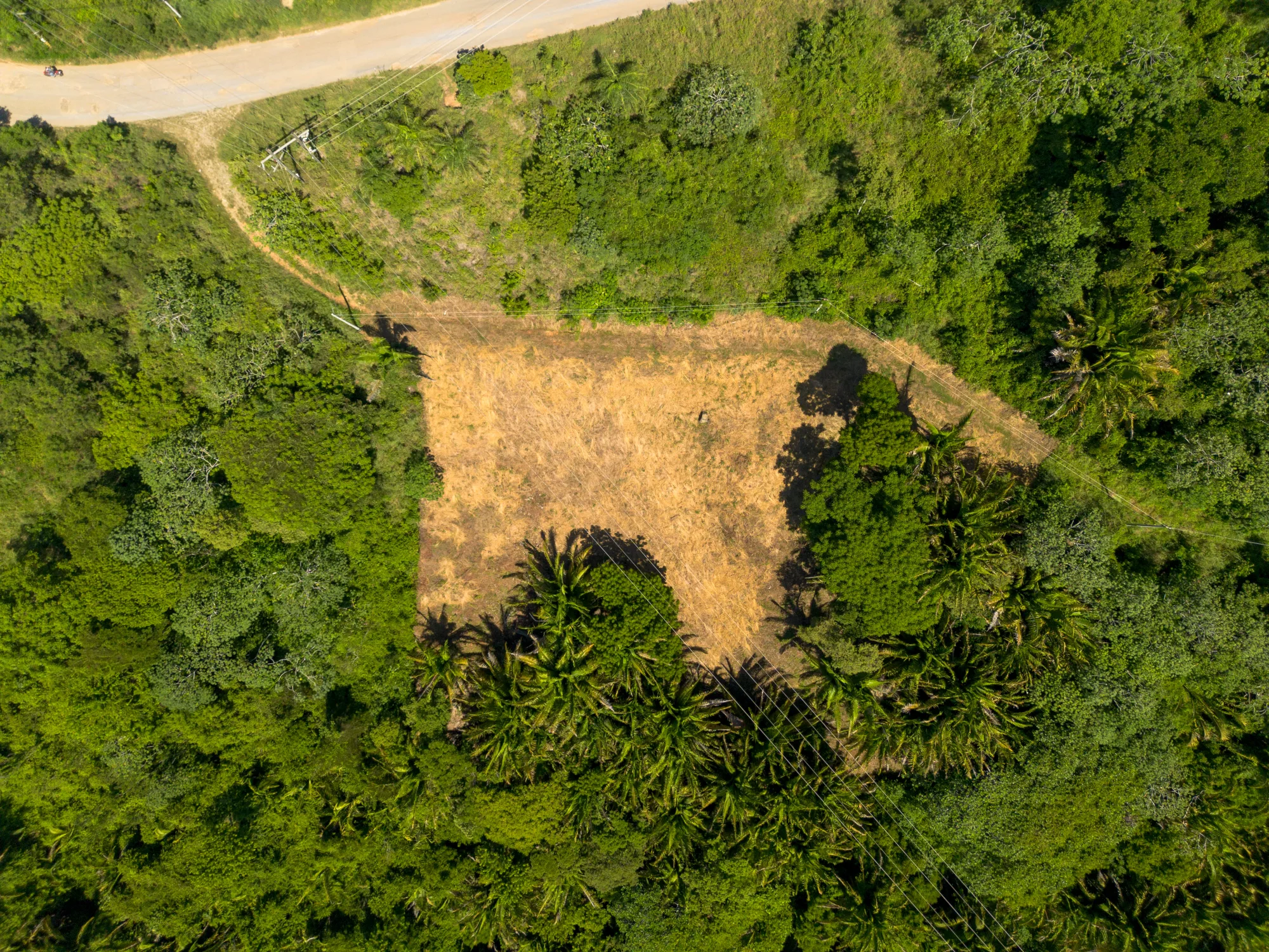Politilly Bight, Lot #2 — 0.50 Acre — exterior photo 6 of 20