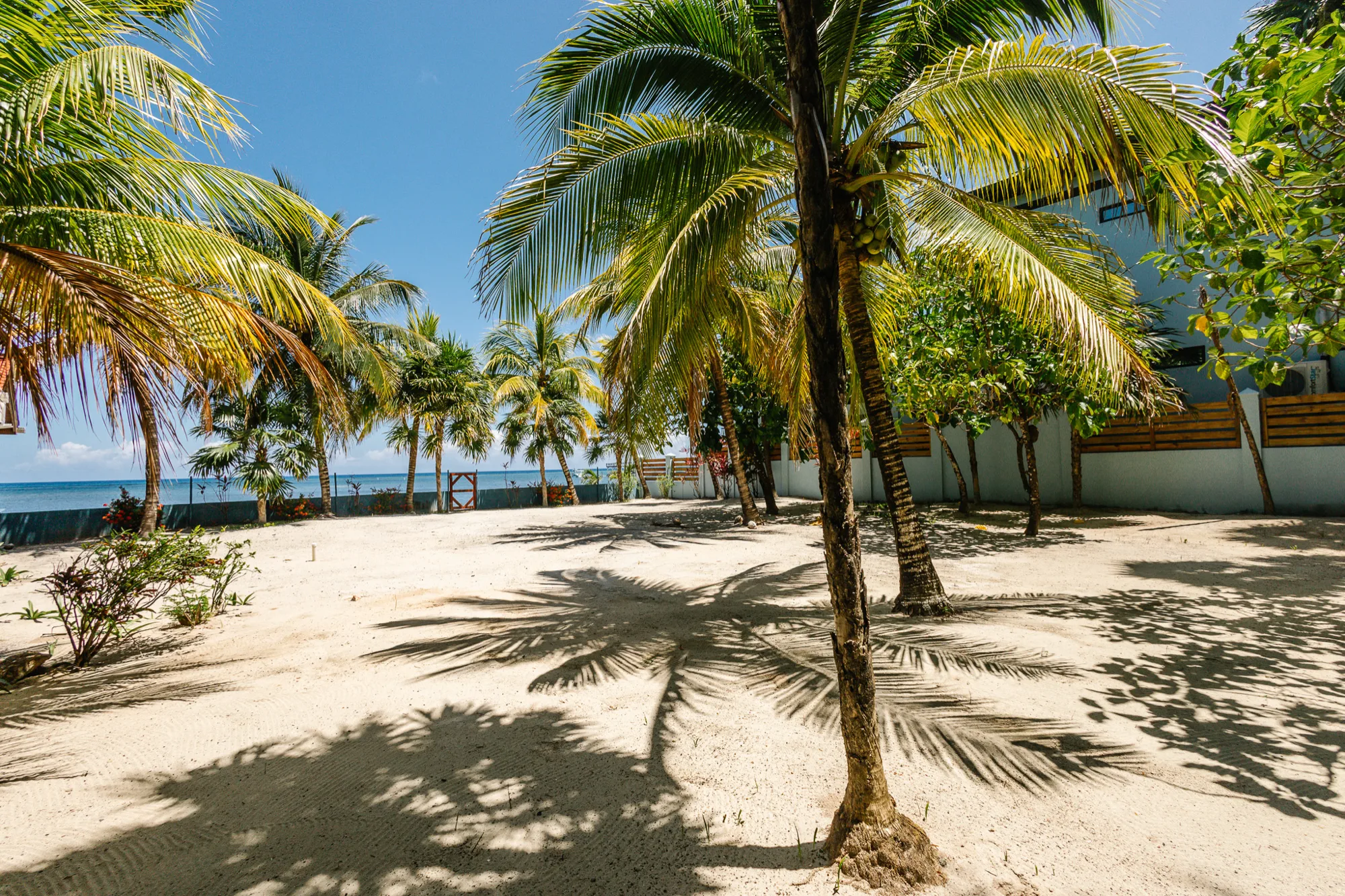 Beachfront Living & Income Retreat — exterior photo 18 of 29